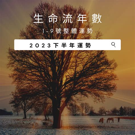 2023生命靈數流年|2023年生命靈數運勢排行榜–愛情｜財運｜事業｜考試｜健